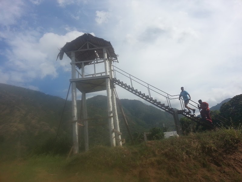 Kumily Thekkady Road - Kumily Thekkady Road, Kumily Thekkady Rd, Kerala 685509, India