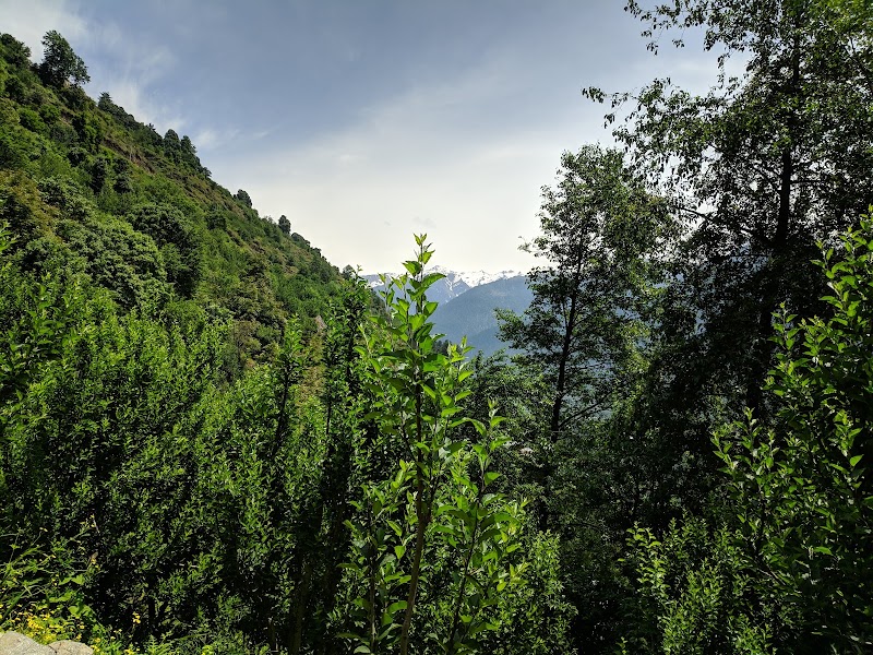 Karam Orchard, Sumbli - Karam Orchard, Sumbli, near Pangan Gompa Road, Baragran, Manali, Himachal Pradesh 175129, India