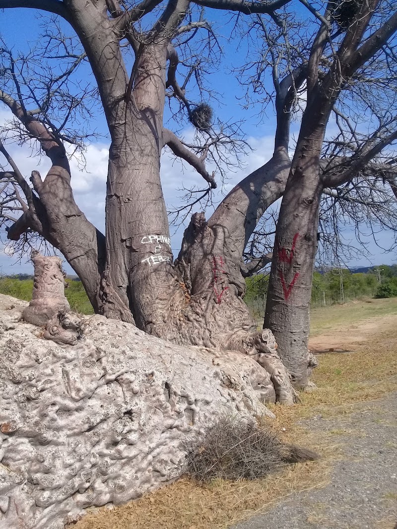 Musina Nature Reserve - Musina Nature Reserve, Musina, South Africa