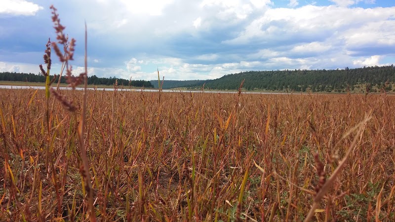 Lake Mary Road - Lake Mary Road, Lake Mary Rd, Flagstaff, AZ, USA