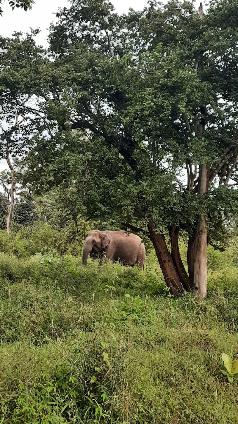 Hunsur - Hunsur, Karnataka, India