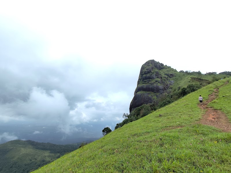 Coffee Ghiri homestay - Best homestay in Kudremukh trekking - Coffee Ghiri homestay - Best homestay in Kudremukh trekking, mullodi, balagal, kalasa, mudigere, chikmagalore, chikmagalur, Samse, Karnataka 577124, India