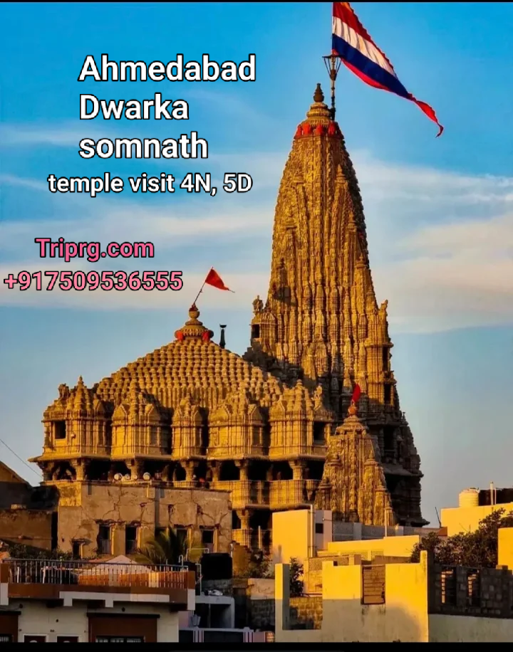RG TRIP AND HOLIDAYS - RG TRIP AND HOLIDAYS, 9 TO 16, D-Pocket, Maroda Sector, Bhilai, Chhattisgarh 490006, India