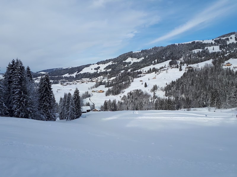 Camping Bilgeri - Camping Bilgeri Krähenberg 122, 6952 Sibratsgfäll, Austria