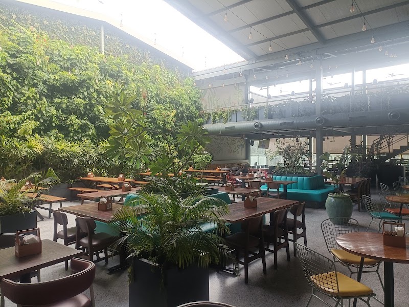 Terrace Bar & Kitchen - Terrace Bar & Kitchen No 1, (old 141/37), Rooftop, 24th main, Marenahalli Rd, R.K Colony, Marenahalli, 2nd Phase, J. P. Nagar, Bengaluru, Karnataka 560041, India