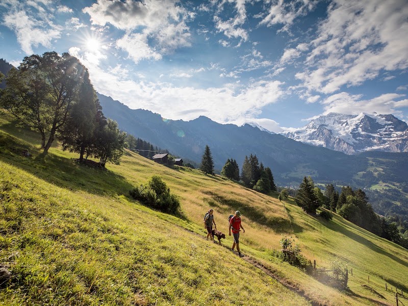 Jungfrau Region Tourism - Jungfrau Region Tourism, Kammistrasse 13, 3800 Interlaken, Switzerland