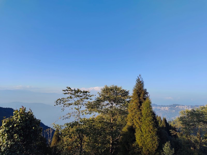 Chowrasta Tours & Travels - Chowrasta Tours & Travels Tungsoong road, chowrasta, Darjeeling, Pandam Tea Garden, West Bengal 734101, India