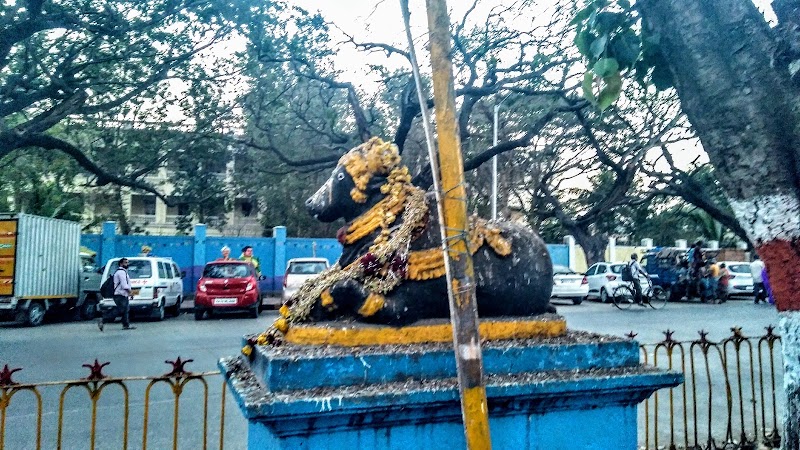 Sayyaji Rao Road - Sayyaji Rao Road, Sayyaji Rao Rd, Shivarampet, Mysuru, Karnataka, India