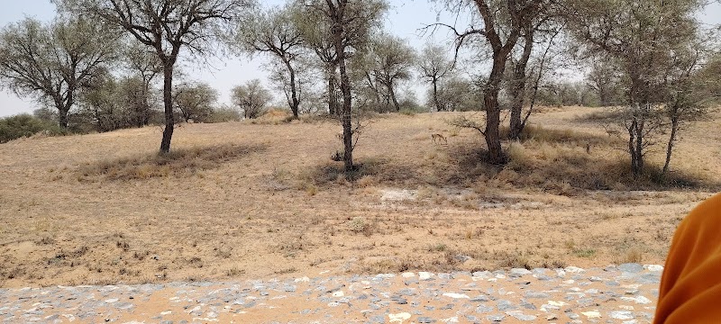 Al wadi nature reserve bbq area - Al wadi nature reserve bbq area JR7V+9VP - Al Mazrae - Ras Al Khaimah - United Arab Emirates