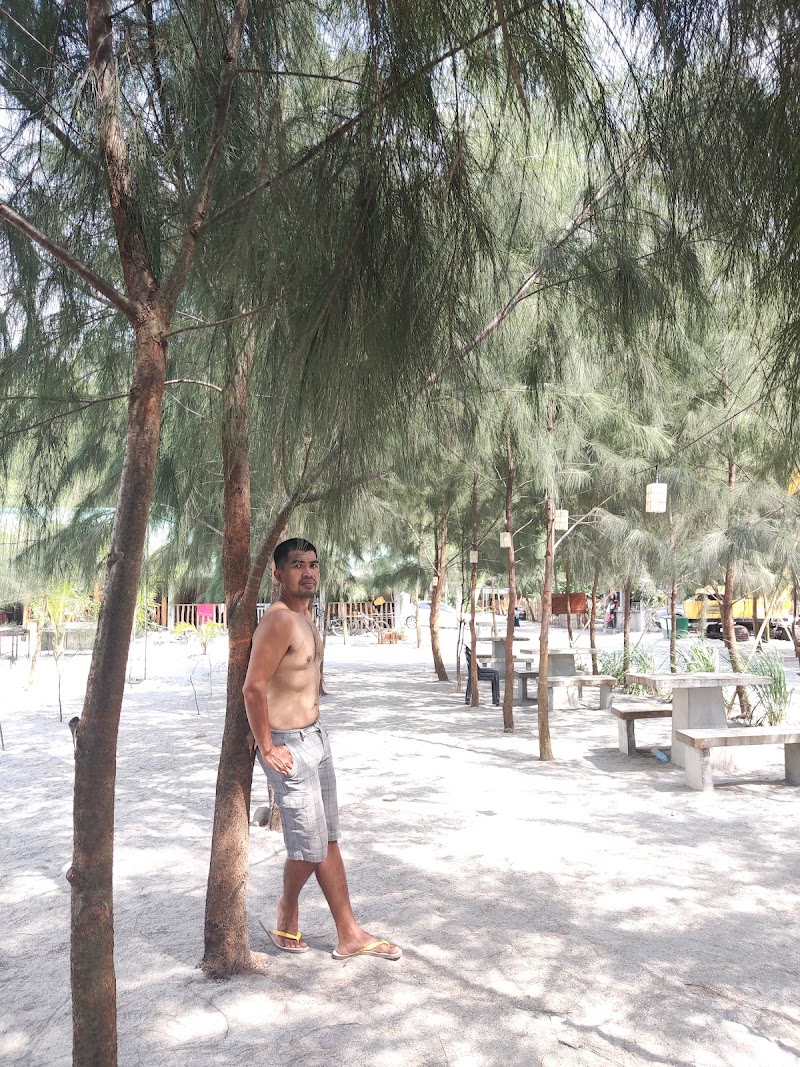 Gasera liwliwa - Gasera liwliwa, 23V6+44, San Felipe, Zambales, Philippines