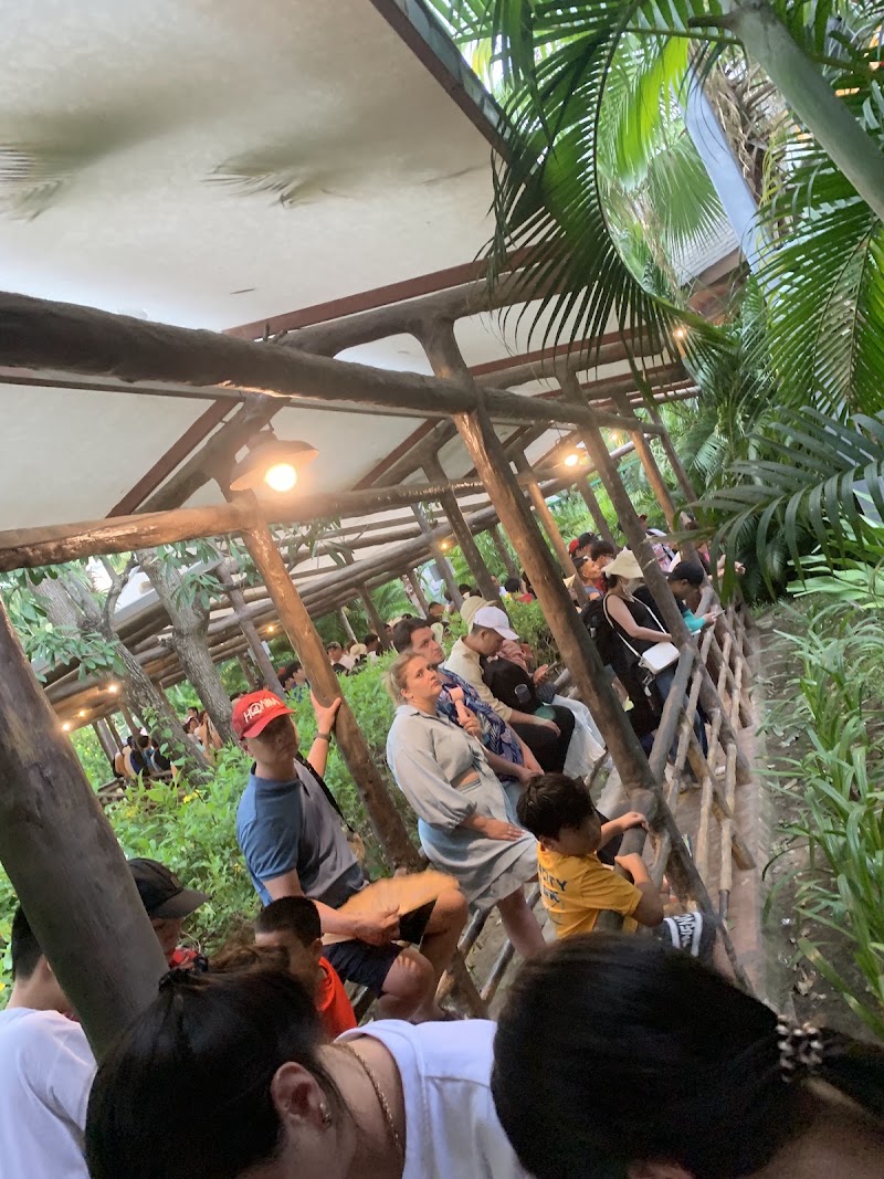Đường lượn nhớ đời - Alpine Coaster - Đường lượn nhớ đời - Alpine Coaster, 668R+945, Nha Trang, Khanh Hoa, Vietnam