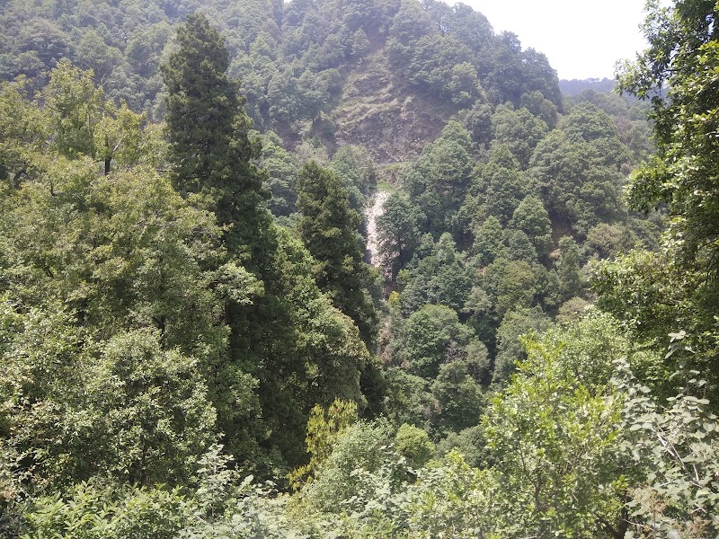 Himalaya Darshan - Himalaya Darshan Kilbury Rd, Naina Range, Uttarakhand 263001, India
