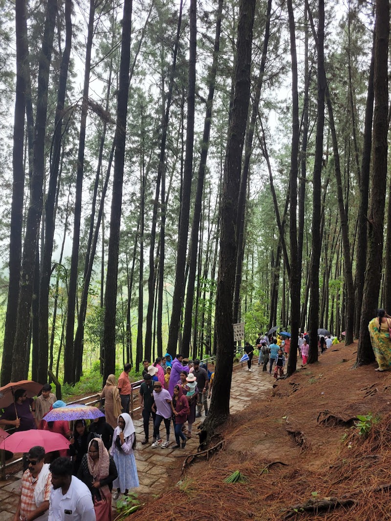 Vagamon View Point - Vagamon View Point MVPX+3H, Vagamon, Keralam 685503, India