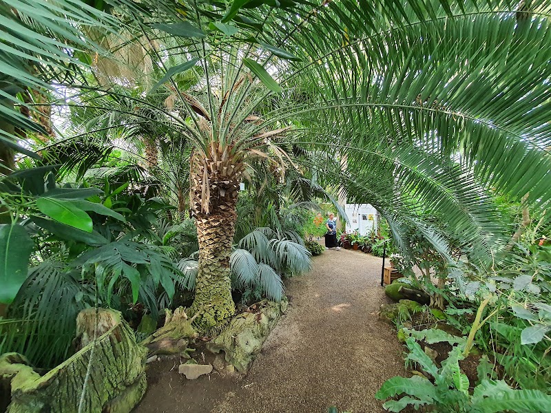 Palm House - Palm House, Schönbrunn Palace Park, 1130 Wien, Austria