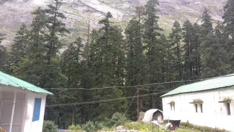 Valley of flowers Camp Ghangria - Valley of flowers Camp Ghangria Valley of Flowers Trek Route, near Gurudwara, Ghangaria, Uttarakhand 246443, India