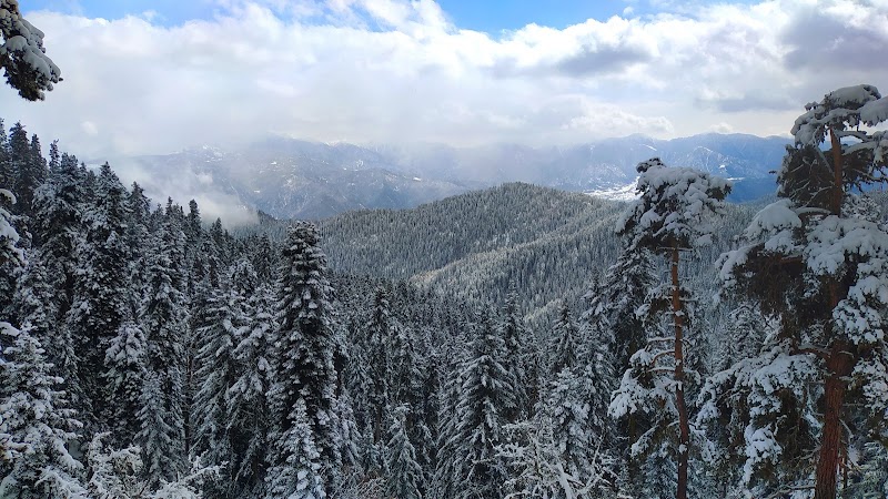 Borjomi-Kharagauli National Park Administration - Borjomi-Kharagauli National Park Administration, 23 მესხეთის ქუჩა, Borjomi 1200, Georgia