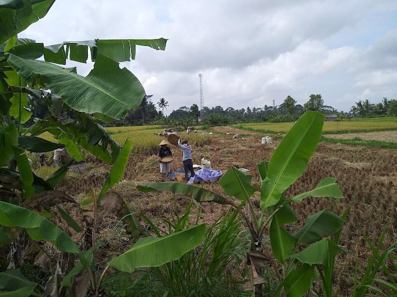 Pejeng Kangin - Pejeng Kangin, Tampaksiring, Gianyar Regency, Bali, Indonesia