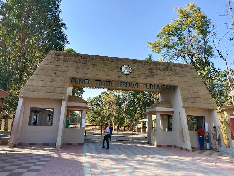 Pench National Park - Pench National Park, Turia ,Tehsil :Kurai, near Turia gate, Madhya Pradesh 480881, India
