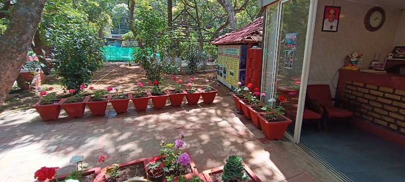 Forest Cottages - Forest Cottages, lodwick point road, WJGW+75F, near sai sukun service center, Mahabaleshwar, Maharashtra 412806, India