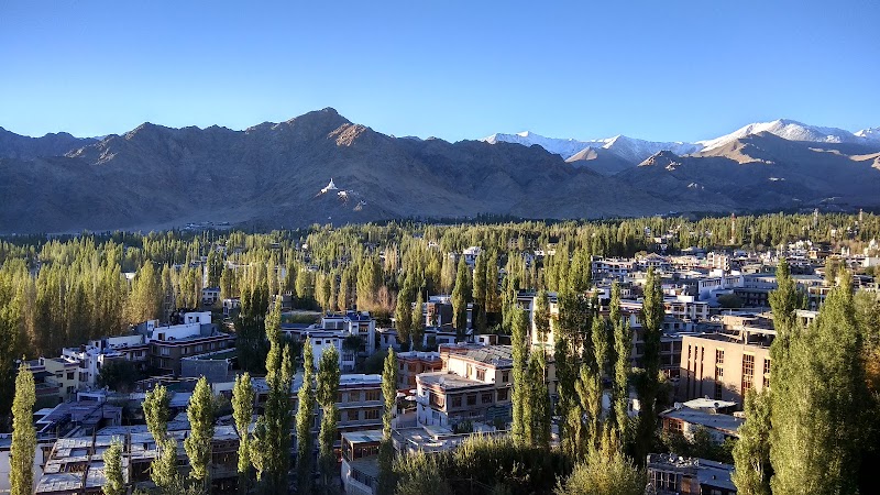 Leh - Leh Leh 194101