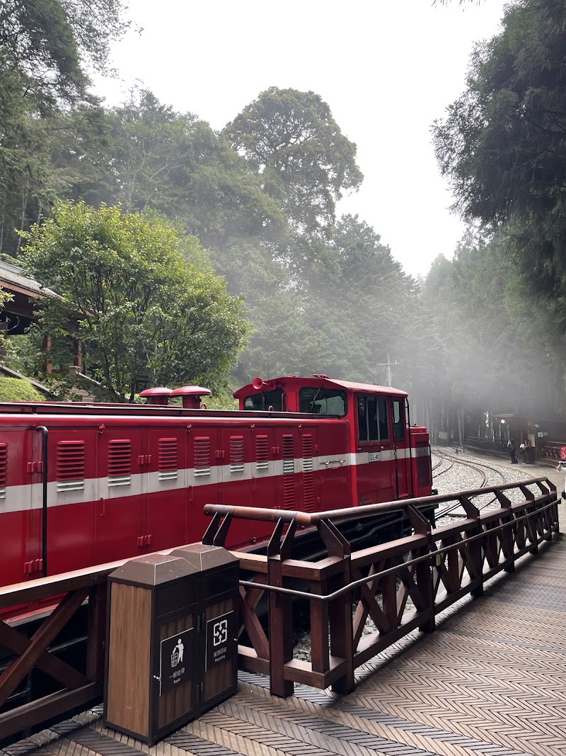 Alishan Train Station - Alishan Train Station 605, Taiwan, Chiayi County, Alishan Township, Zhongzheng Village, Alishan National Forest Recreation Area, 1號