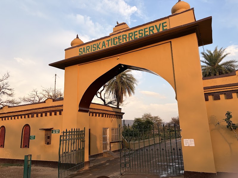 Sariska Tiger Reserve - Sariska Tiger Reserve Rajasthan, India