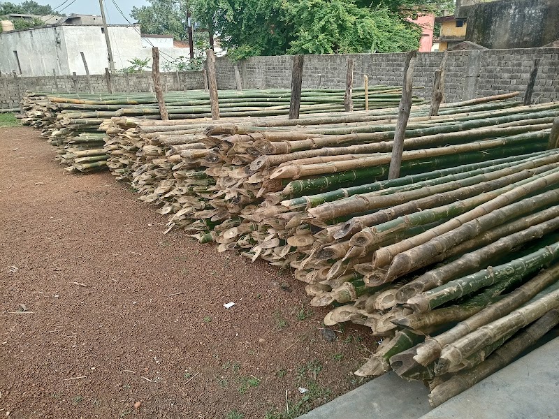 Shukla lakdi bans taal & plywood - Shukla lakdi bans taal & plywood, X33F+4F4, Bilha, Chhattisgarh 495224, India