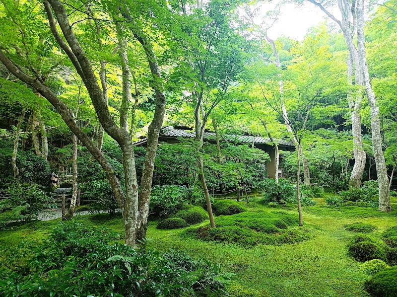 Giōji Temple - Giōji Temple 32 Sagatoriimoto Kozakachō, Ukyo Ward, Kyoto, 616-8435, Japan