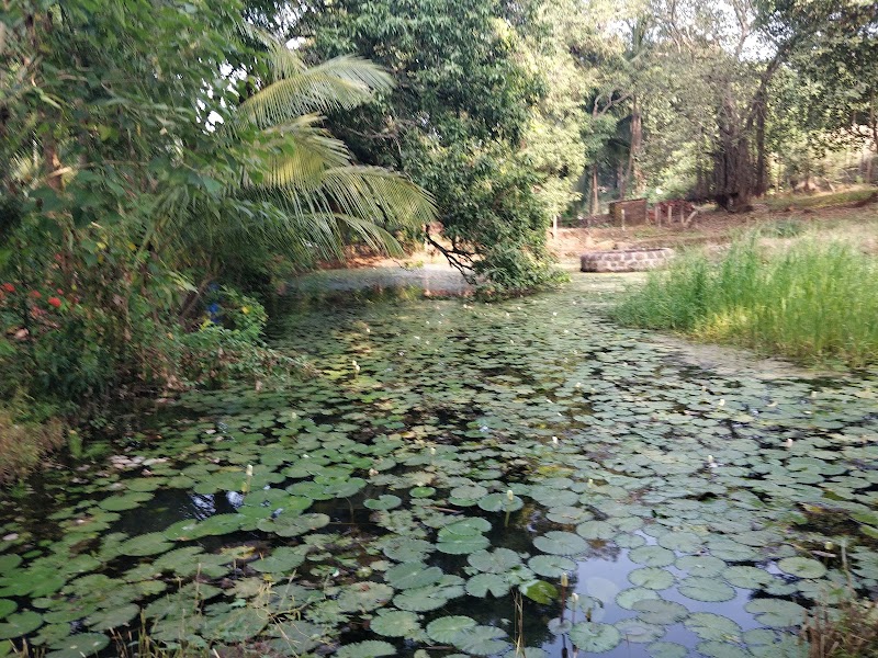 Kalinje - Kalinje Kalinje, Maharashtra 402110, India