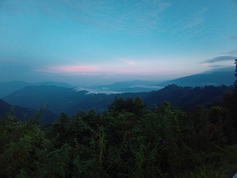 ZERO POINT - ZERO POINT, Rangli Rangliot, Rangli Ranglot Tea Garden, West Bengal 734226, India