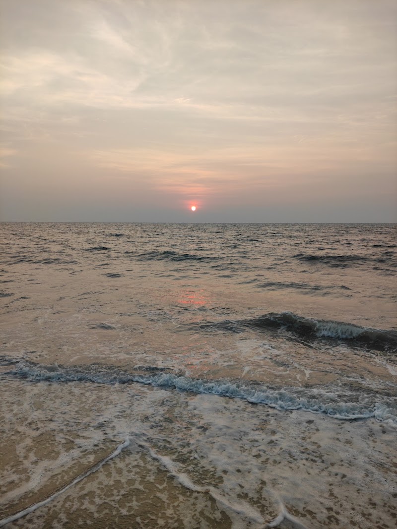 Alleppey Pine Forest (Mini) - Alleppey Pine Forest (Mini) F8Q9+4MR, Kunnumpuram, Alappuzha, Keralam 688012, India