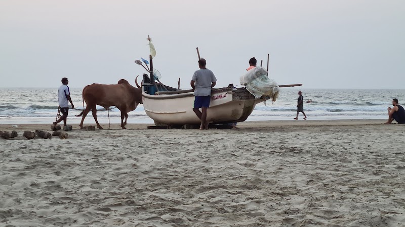 Arambol Beach - Arambol Beach, Goa, India