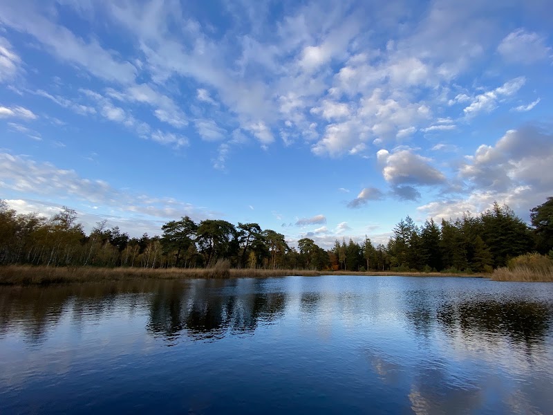 Nationaal Park De Hoge Veluwe - Nationaal Park De Hoge Veluwe, Netherlands