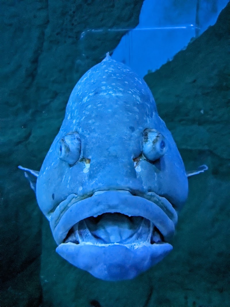 Sevilla Aquarium - Sevilla Aquarium Muelle de las Delicias, s/n, 41012 Sevilla, Spain
