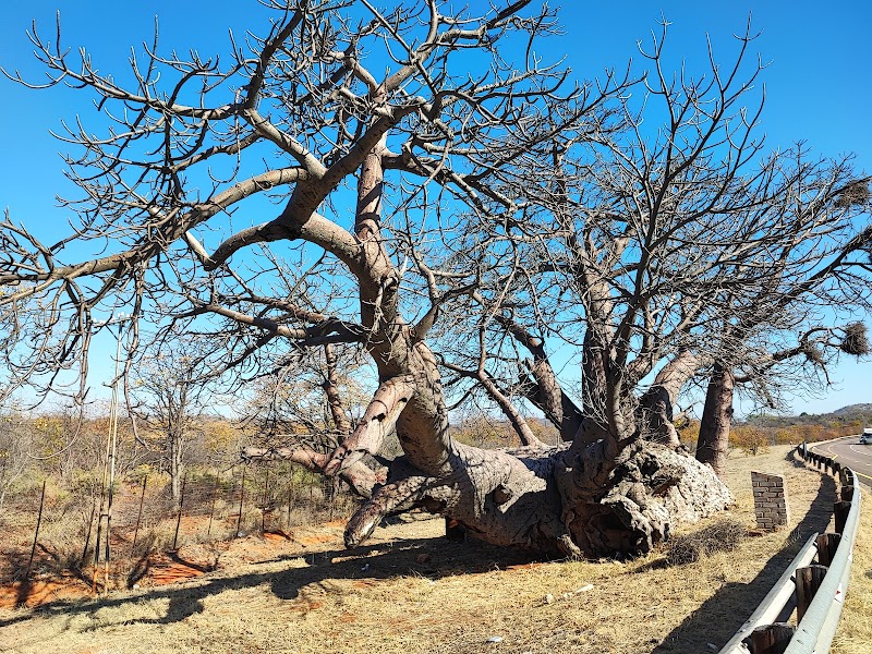Musina Nature Reserve - Musina Nature Reserve, Musina, South Africa