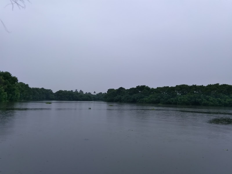 Kerala Tourism Information - Kerala Tourism Information, Kumaranellur, Kerala 679552, India