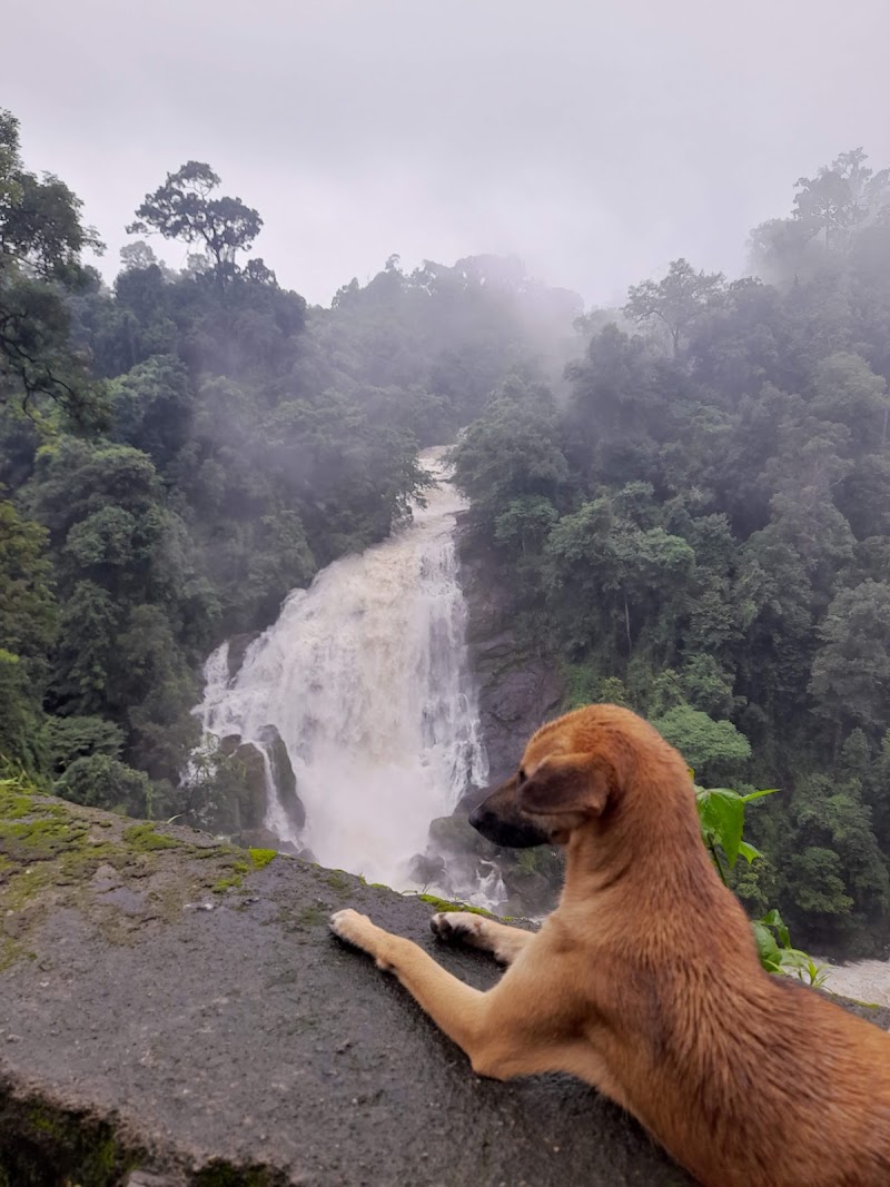 Valara waterfalls view point - Valara waterfalls view point 2RWR+X4R, Munnar - Aluva Rd, Chillithodu, Kerala 685561, India