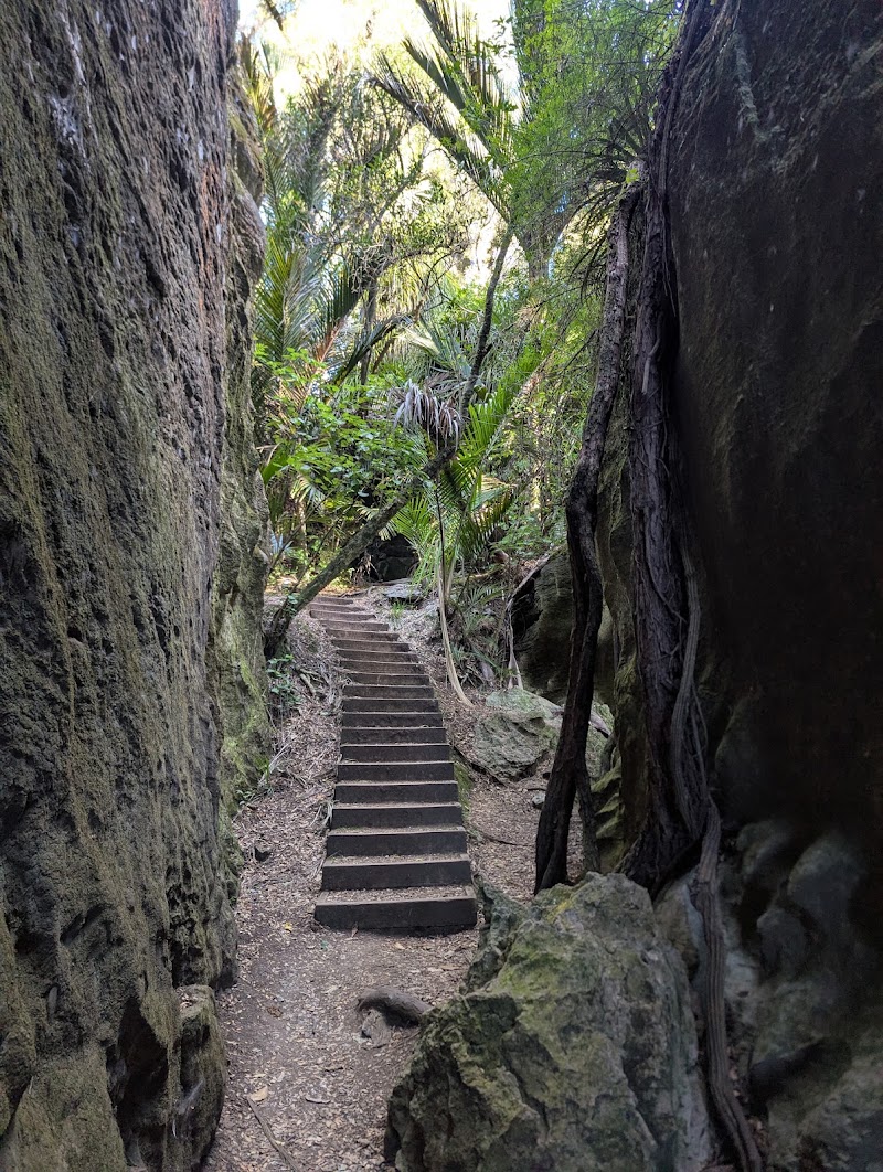 The Grove Scenic Reserve