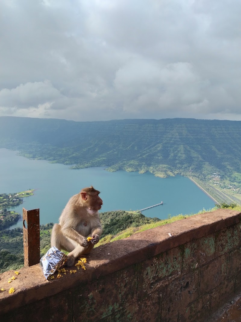 Mahabaleshwar Hill Station - Mahabaleshwar Hill Station WJJX+73X, Mahabaleshwar, Maharashtra 412806, India