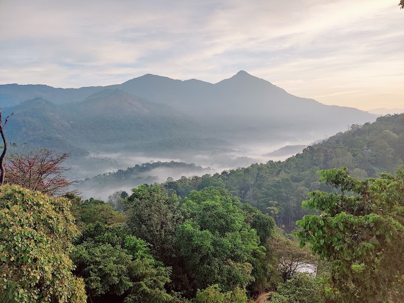 The serene park Munnar