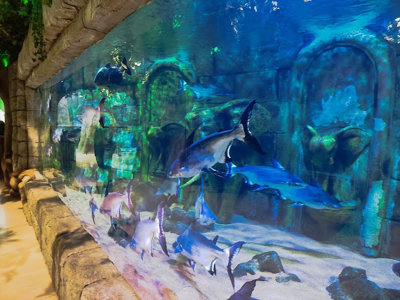 Funtastic Aquarium - Funtastic Aquarium, Gilan Province, Bandar Anzali, منطقه آزاد انزلی،کیلومتر 5، Fatehi Blvd, FM3F+8XX, Iran
