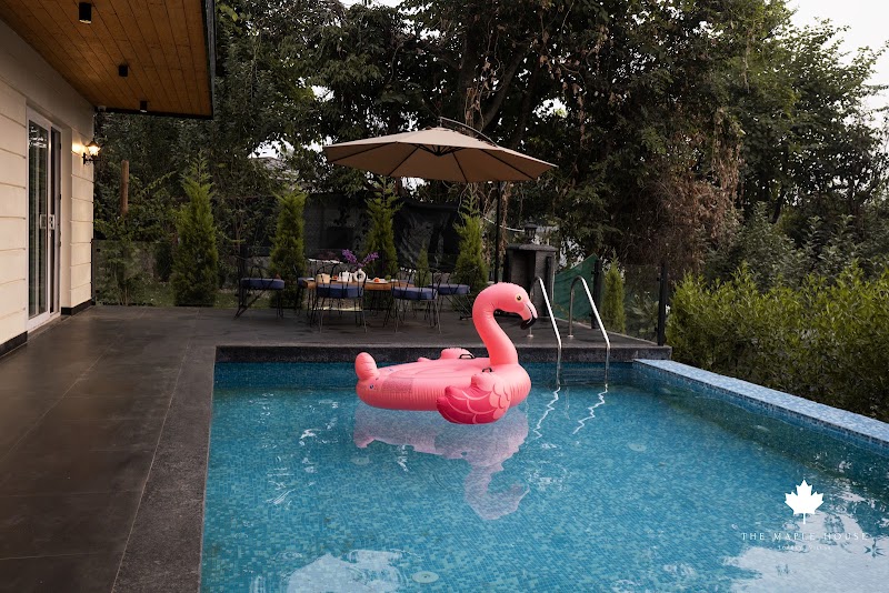 The Maple house, Luxurious Villa - The Maple house, Luxurious Villa vpo sarah, Kangra, Padher, Himachal Pradesh 176215, India
