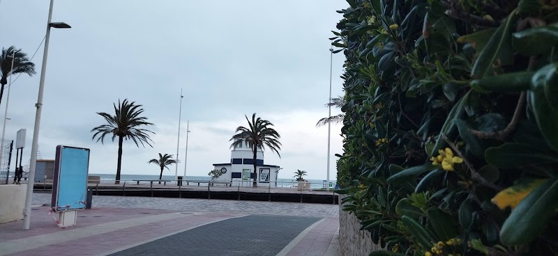 Valencia - Valencia, Spain