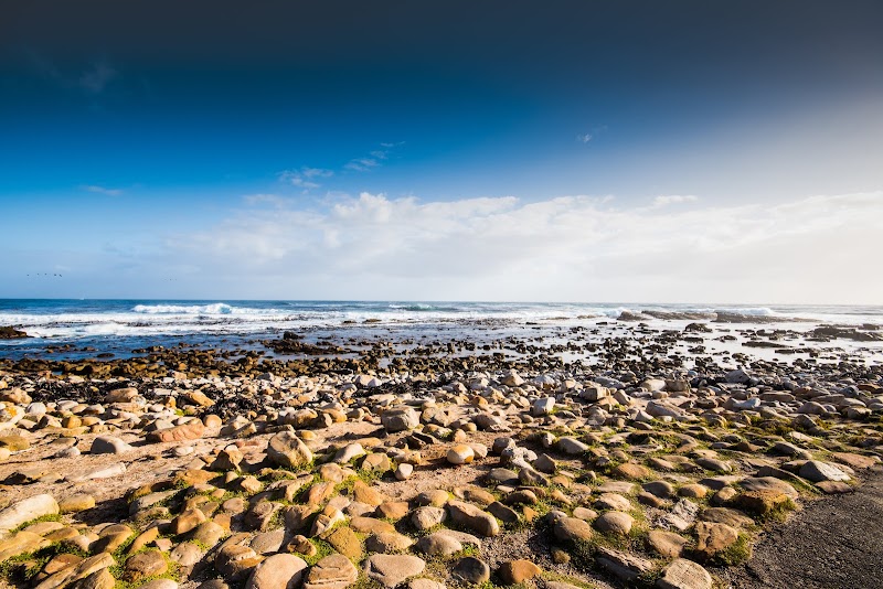Cape of Good Hope - Cape of Good Hope, Cape Point Rd, Cape Peninsula, Cape Town, 8001, South Africa