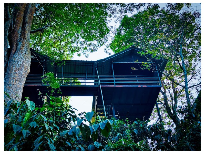WAYANAD WILDLIFE RESORT - WAYANAD WILDLIFE RESORT Sathramkunnu road. 350 mtrs from Daymart, M785+QFF, Sathram Kunnu Rd, near Ankanvadi, Sathramkunnu, Sultan Bathery, Kerala 673592, India