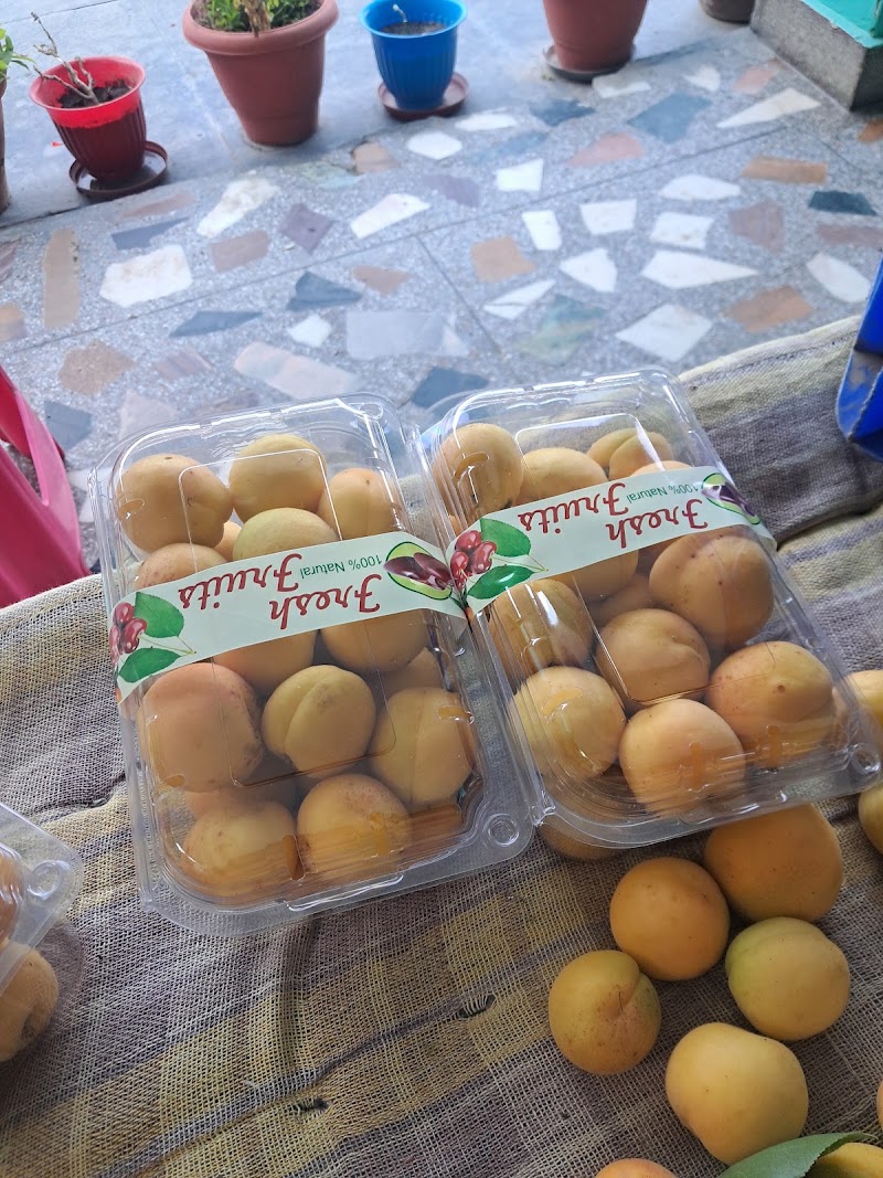 K S Orchards - K S Orchards, Sajla Bihal, Manali, Himachal Pradesh 175143, India