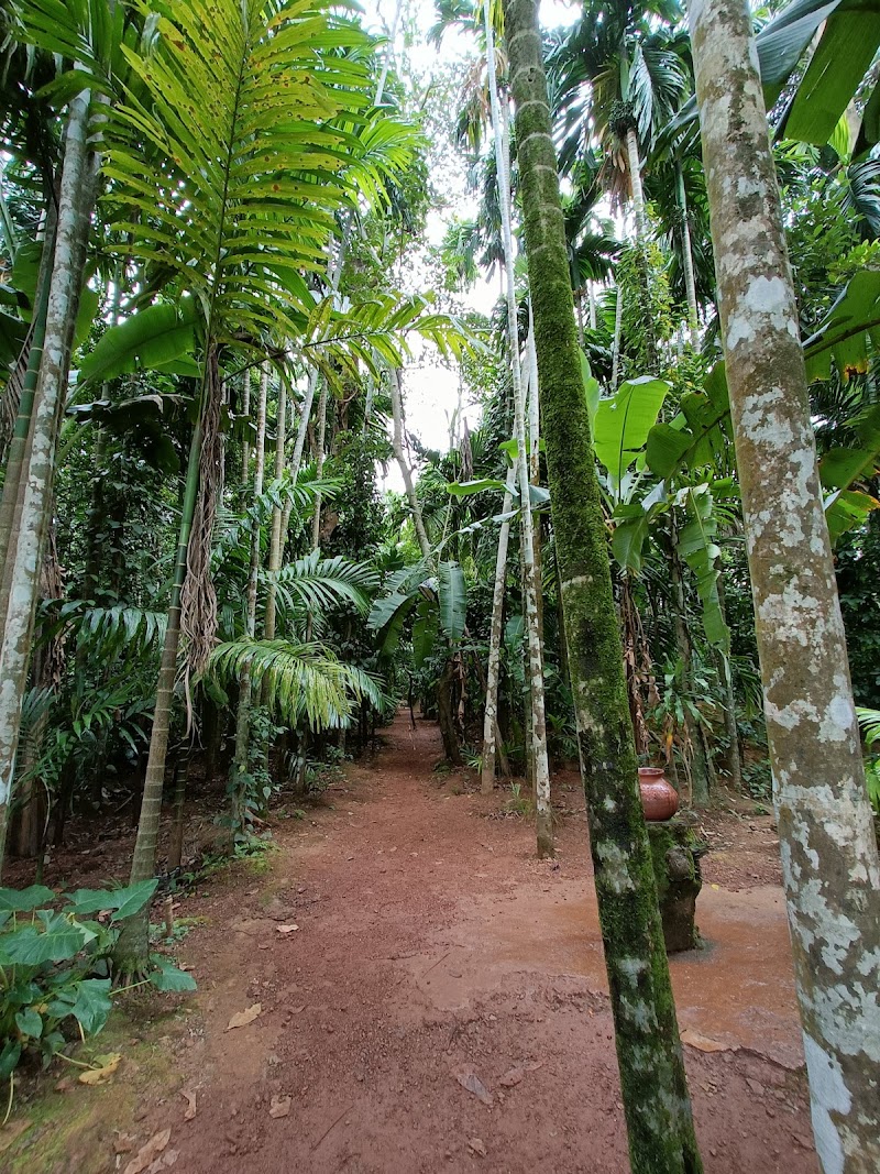 Tropical Spice Plantation - Tropical Spice Plantation H.No. A-14, Arla Bazar, Ponda, Keri, Goa 403404, India