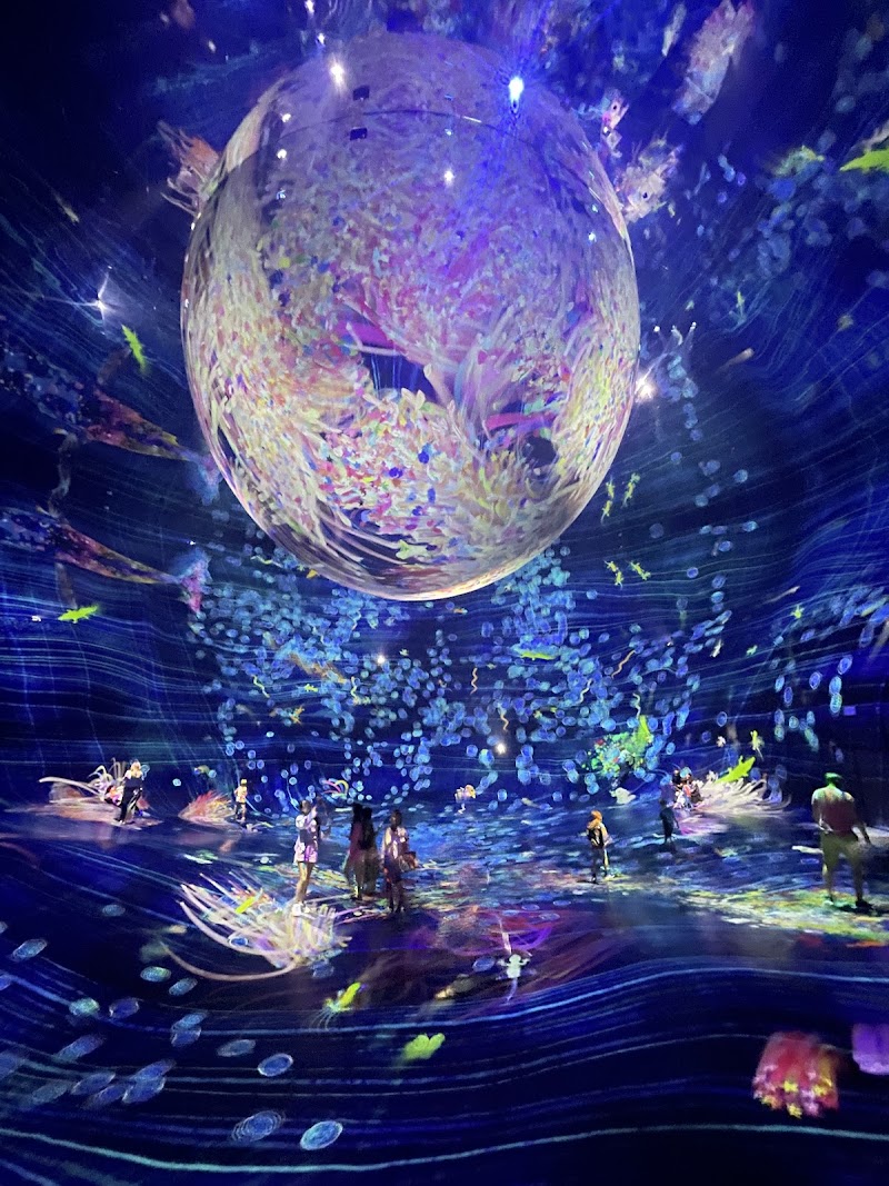 teamLab Phenomena - teamLab Phenomena Al Saadiyat Island - Cultural District - Abu Dhabi - United Arab Emirates