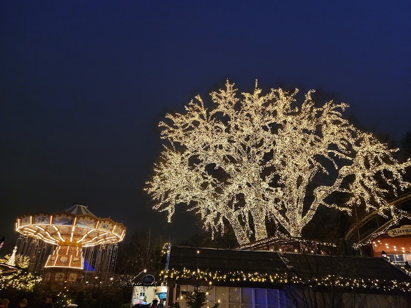 Liseberg - Liseberg, Örgrytevägen 5, 402 22 Göteborg, Sweden