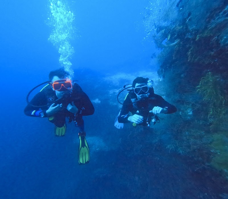 Atlas Divers Malapascua - Atlas Divers Malapascua Barrio Proper, Malapascua Island, 6013 Cebu, Philippines